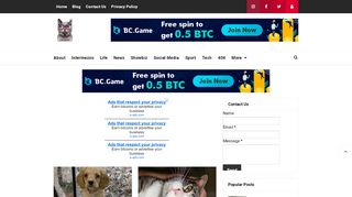لقطة شاشة لموقع cats usa
بتاريخ 29/10/2019
بواسطة دليل مواقع عرب ويب توب